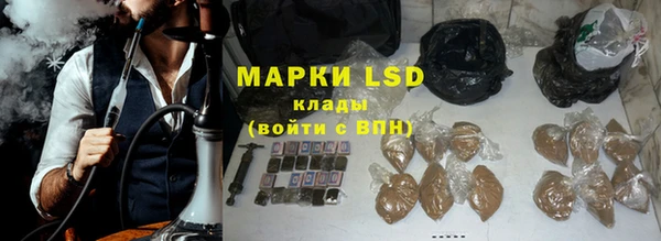 ГАЛЛЮЦИНОГЕННЫЕ ГРИБЫ Надым