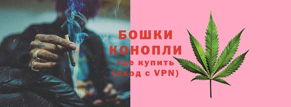ГАЛЛЮЦИНОГЕННЫЕ ГРИБЫ Надым