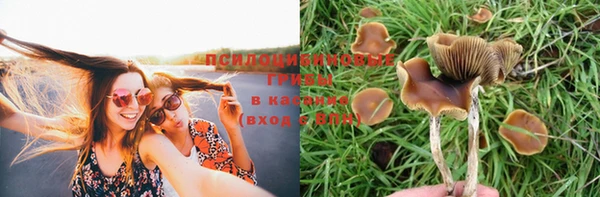 круглые Нефтегорск