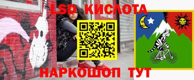 ГАЛЛЮЦИНОГЕННЫЕ ГРИБЫ Гай
