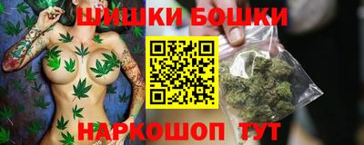 мдпв Гатчина