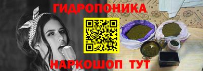 мдпв Гатчина