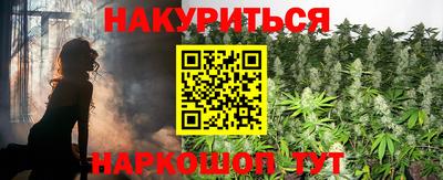 мдпв Гатчина