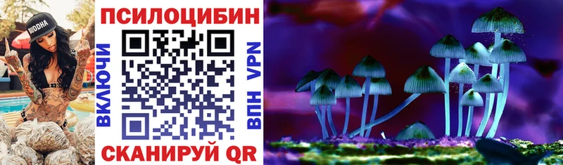 купить наркотик Арсеньев Галлюциногенные грибы Magic Shrooms