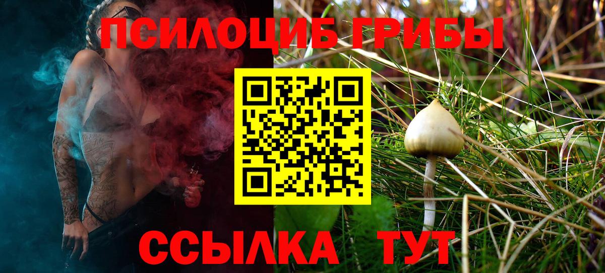 Псилоцибиновые грибы Cubensis  Псилоцибиновые грибы Psilocybine cubensis  Арсеньев 